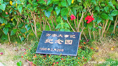 万安大事记,成长与荣誉 万安大事记,成长与荣誉