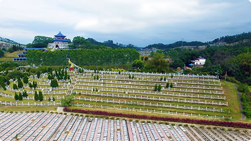 万安园的墓地环境 万安园的墓地环境